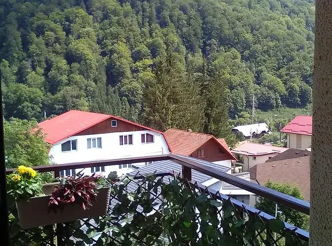 Studio Lalelelor