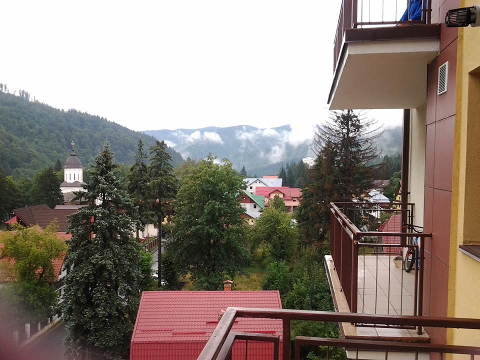 Studio Lalelelor * Sinaia