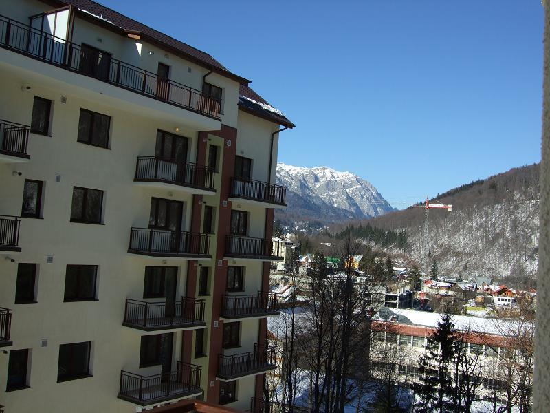 Studio Lalelelor Apartament *