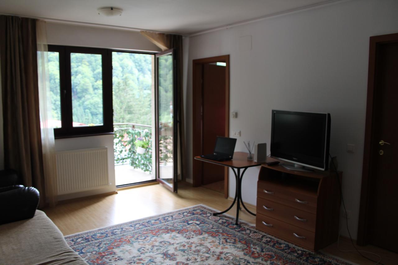 Studio Lalelelor Apartament