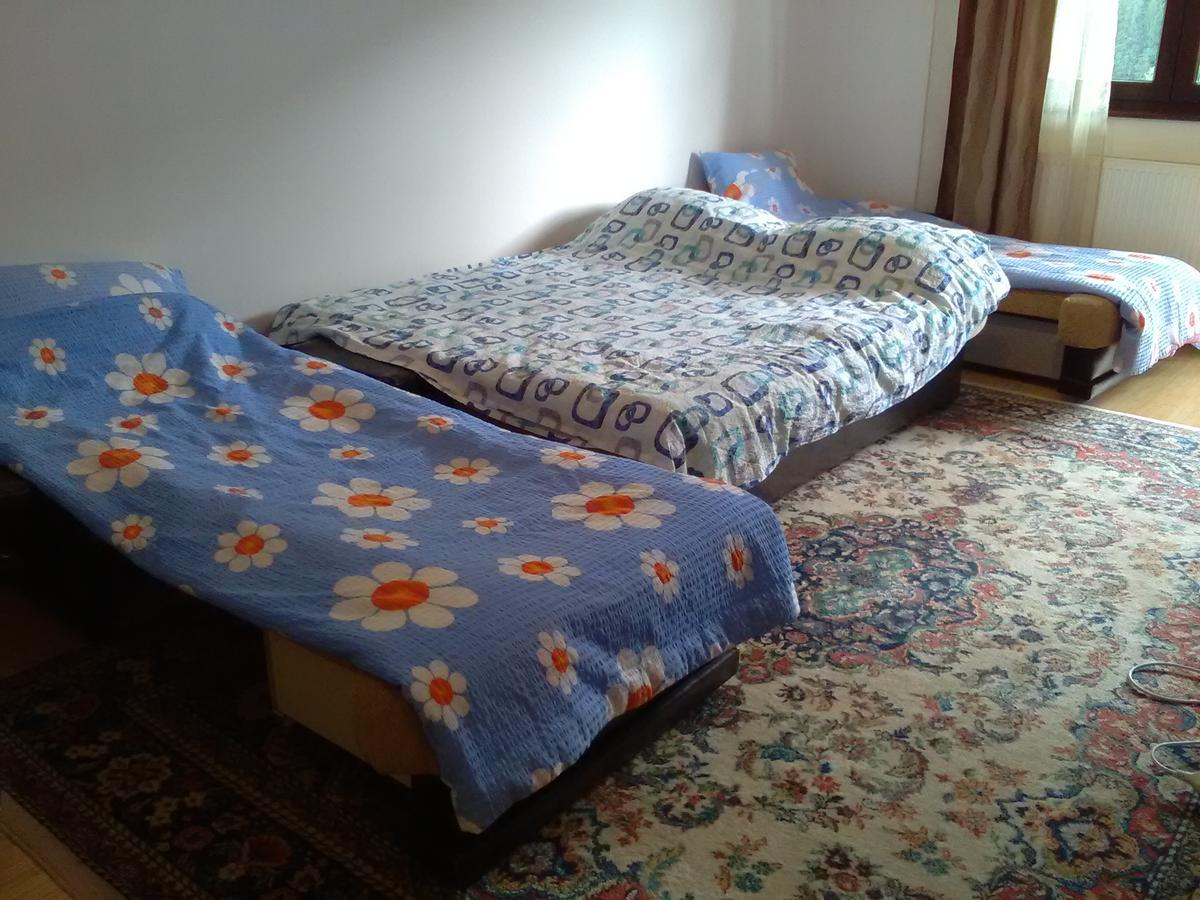 Apartament Studio Lalelelor *