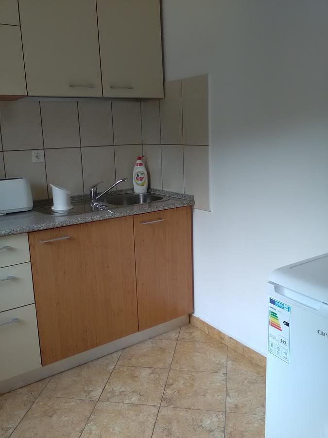 Apartament Studio Lalelelor