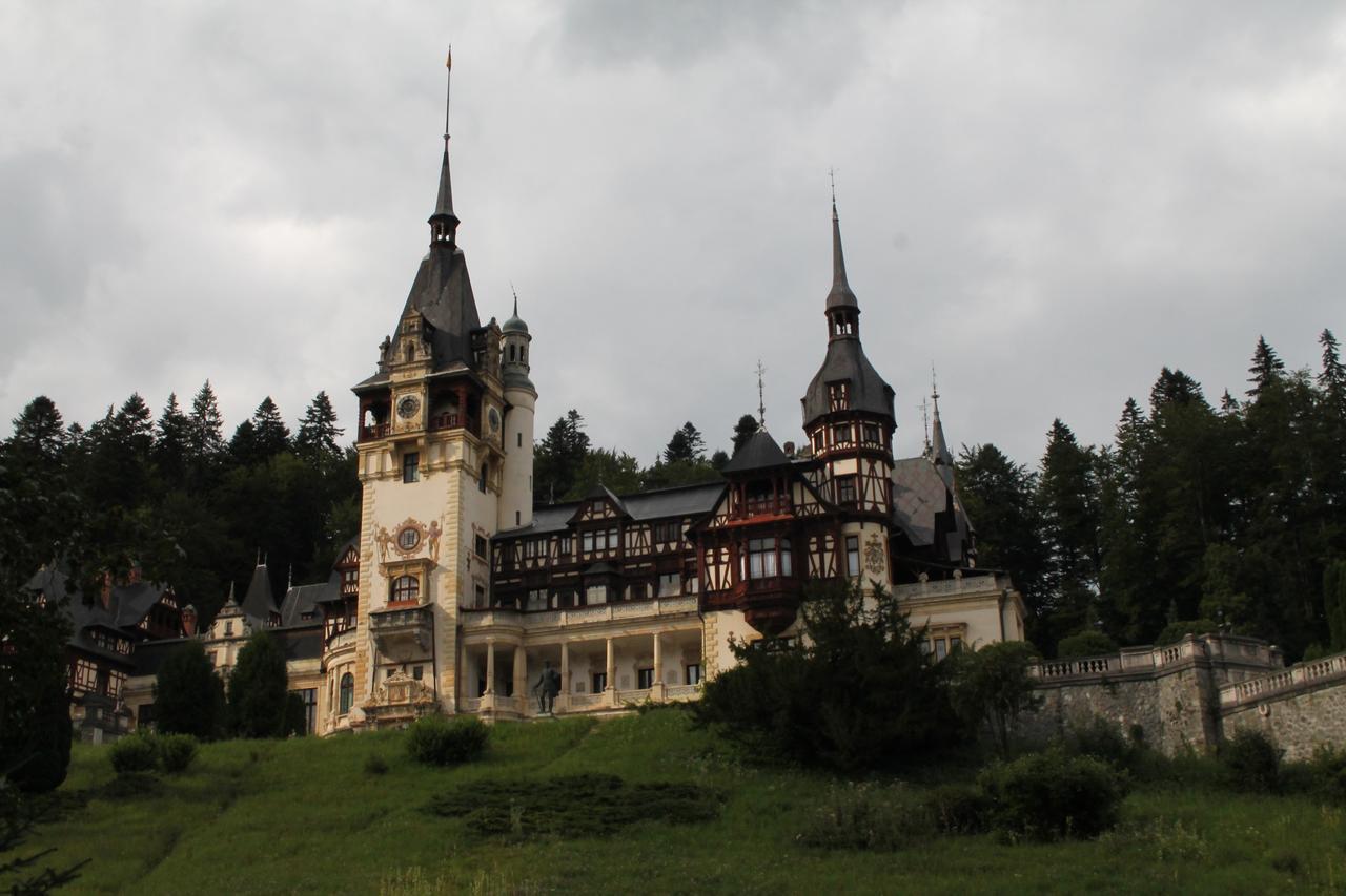 Studio Lalelelor Sinaia