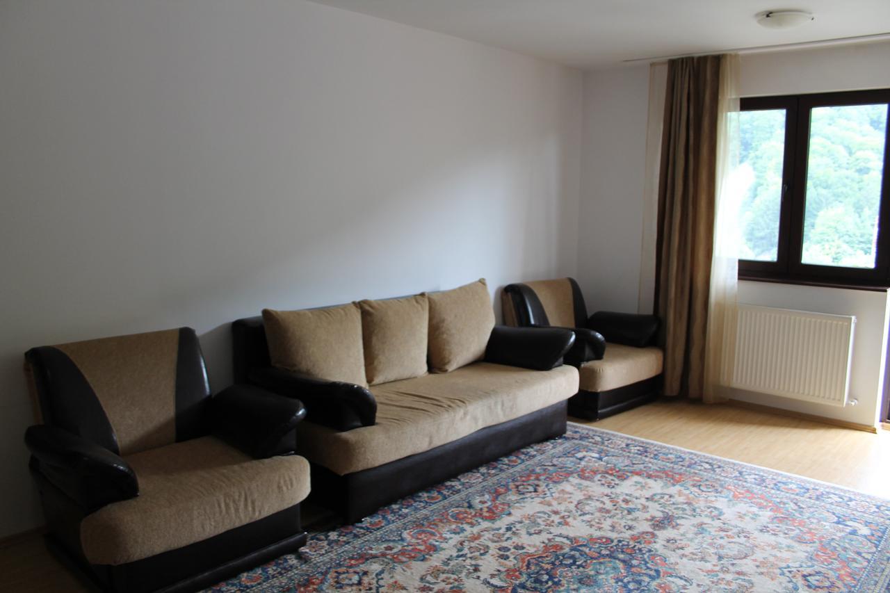 Studio Lalelelor Apartament Sinaia