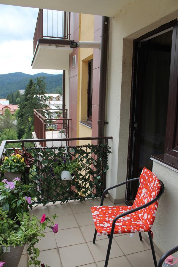 Studio Lalelelor Apartament