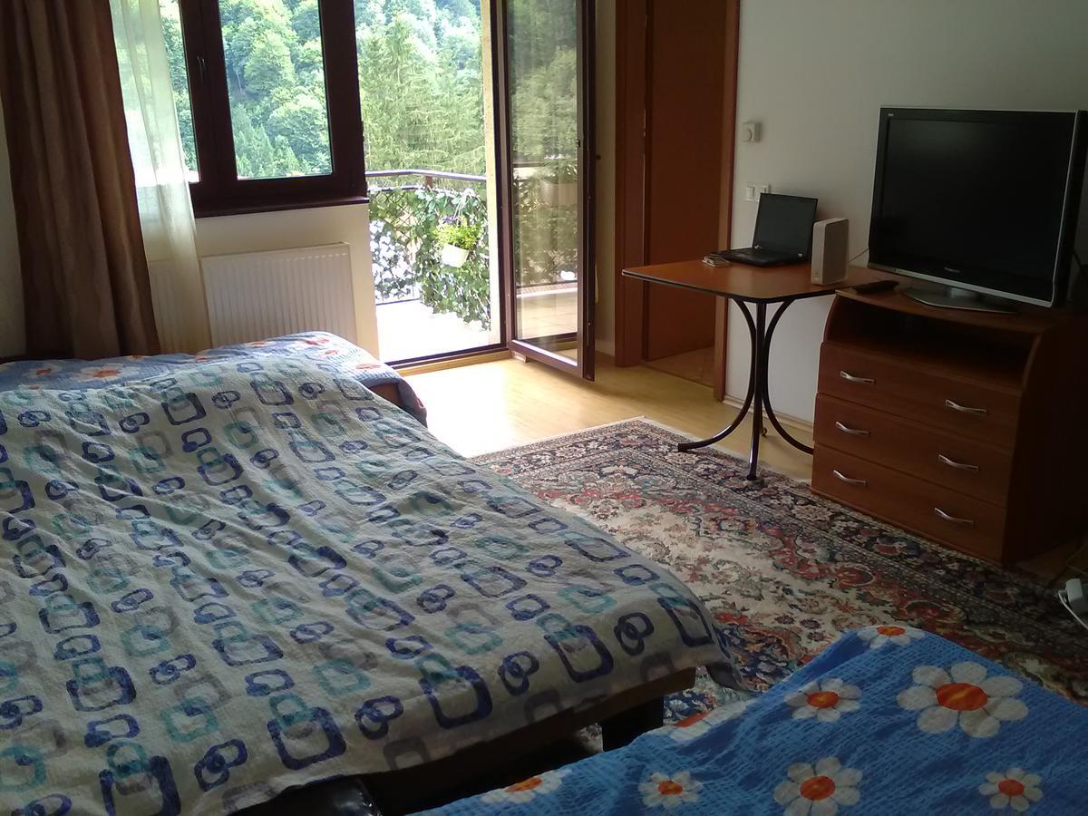 Studio Lalelelor Apartament Sinaia